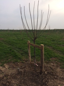 Ancienne plaine des sports Ancienne plaine des sports