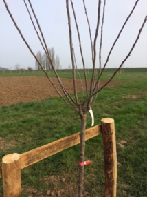 Ancienne plaine des sports Ancienne plaine des sports