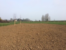 Ancienne plaine des sports Ancienne plaine des sports