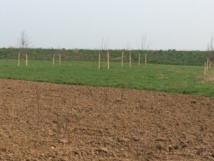 Ancienne plaine des sports Ancienne plaine des sports