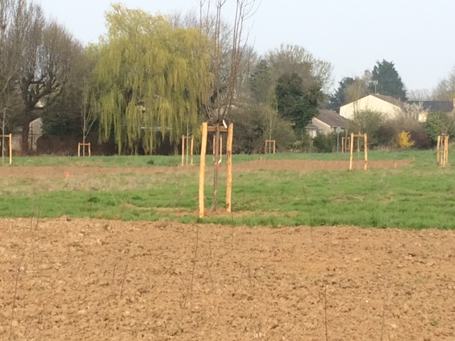 Ancienne plaine des sports