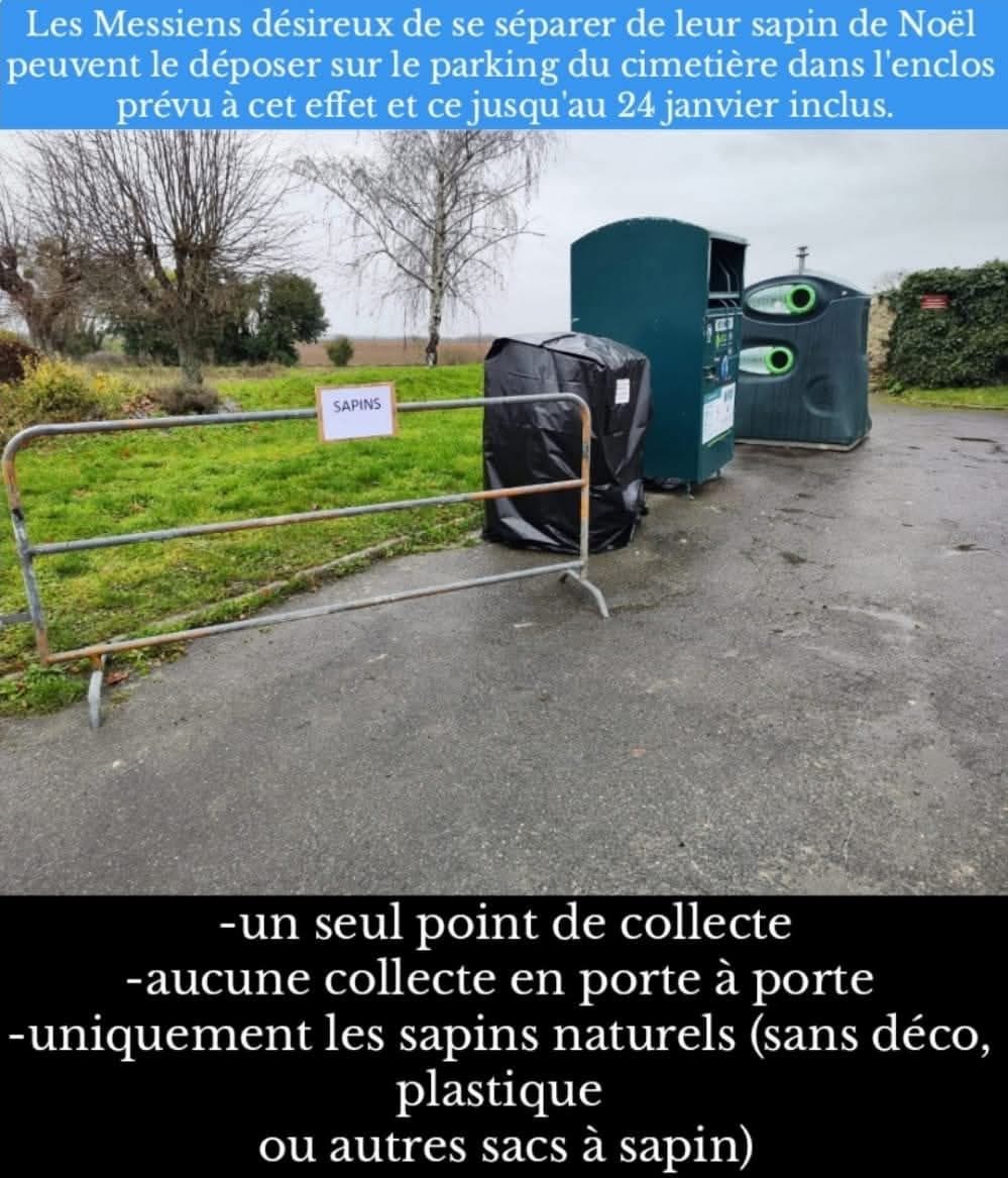 COLLECTE DES SAPINS